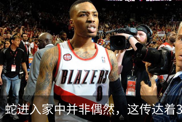 蛇进入家中并非偶然，这传达着3个重要信息